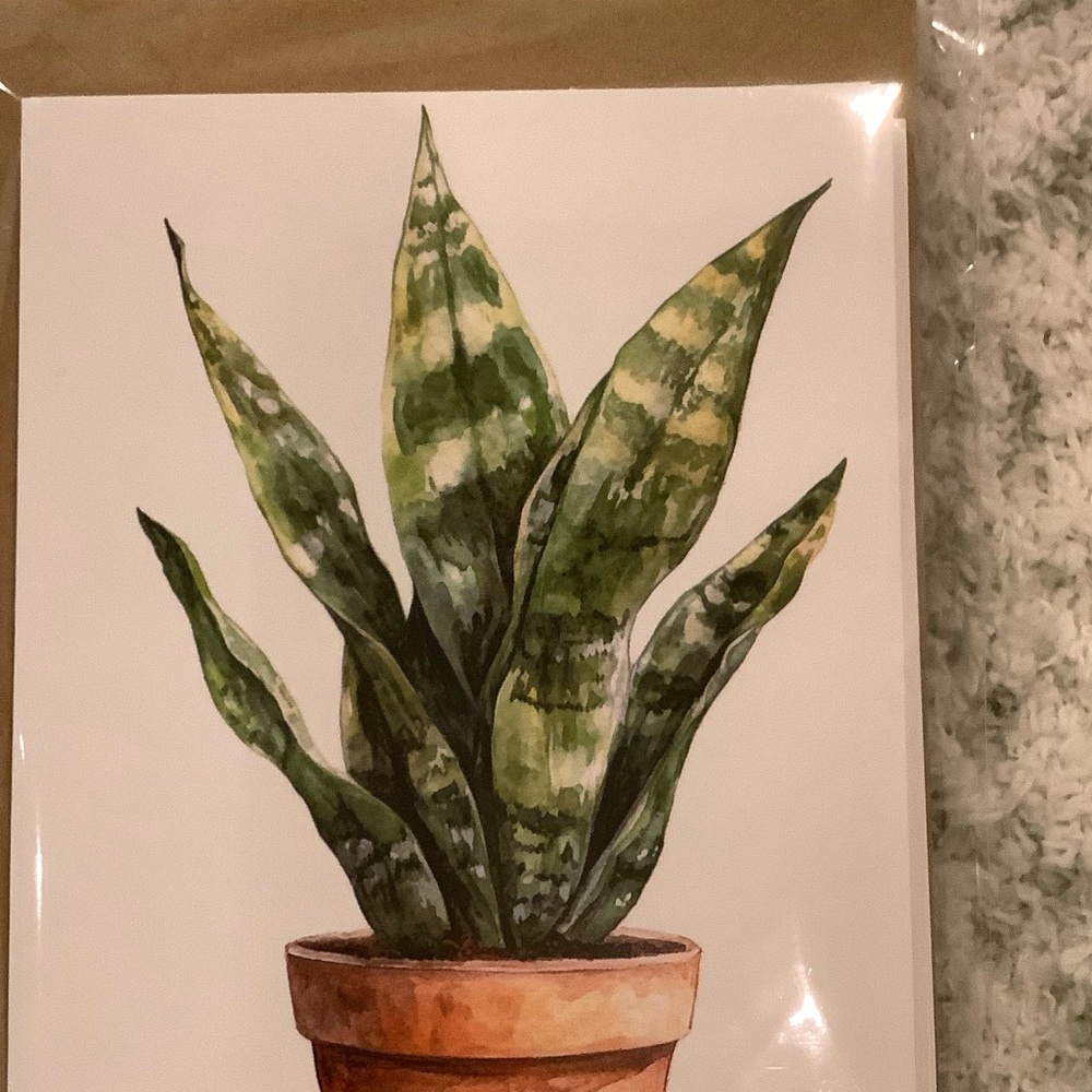 Green Plants Watercolor Variety Note Cards Set of Six NWT 4.25x5.5” - Picture 3 of 13